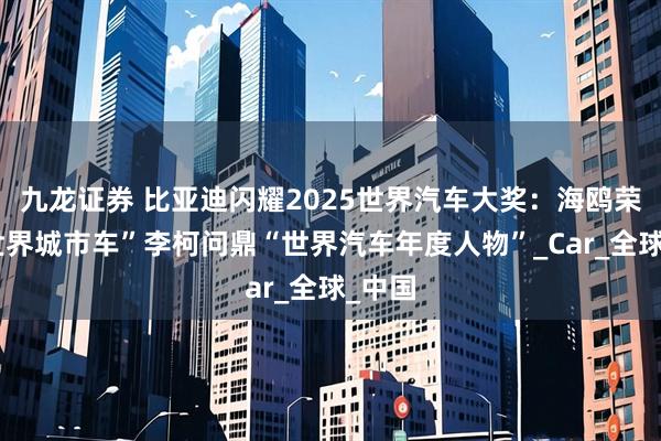 九龙证券 比亚迪闪耀2025世界汽车大奖：海鸥荣获“世界城市车”李柯问鼎“世界汽车年度人物”_Car_全球_中国