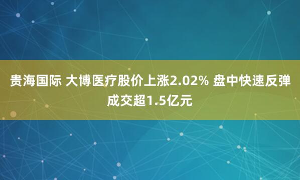 贵海国际 大博医疗股价上涨2.02% 盘中快速反弹成交超1.5亿元