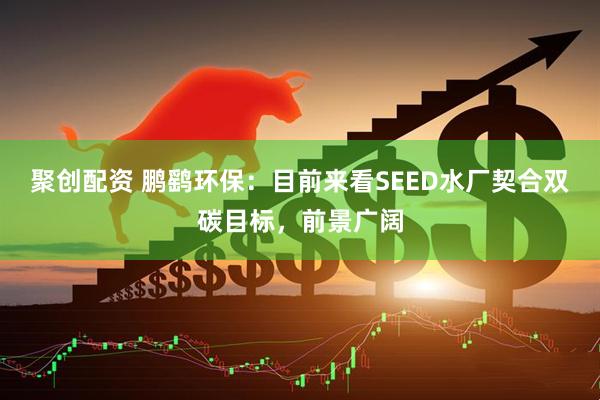 聚创配资 鹏鹞环保：目前来看SEED水厂契合双碳目标，前景广阔