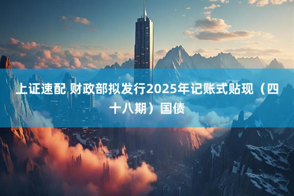 上证速配 财政部拟发行2025年记账式贴现（四十八期）国债