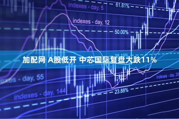 加配网 A股低开 中芯国际复盘大跌11%