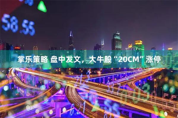 掌乐策略 盘中发文，大牛股“20CM”涨停