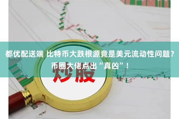 都优配送端 比特币大跌根源竟是美元流动性问题？币圈大佬点出“真凶”！