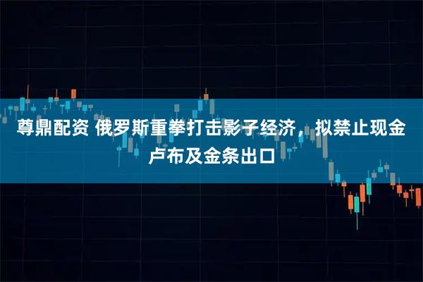 尊鼎配资 俄罗斯重拳打击影子经济,拟禁止现金卢布及金条出口