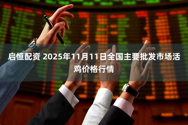 启恒配资 2025年11月11日全国主要批发市场活鸡价格行情