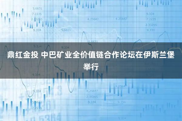 鼎红金投 中巴矿业全价值链合作论坛在伊斯兰堡举行