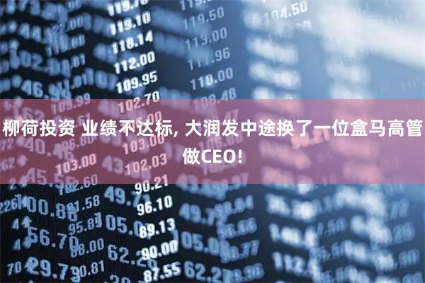 柳荷投资 业绩不达标, 大润发中途换了一位盒马高管做CEO!